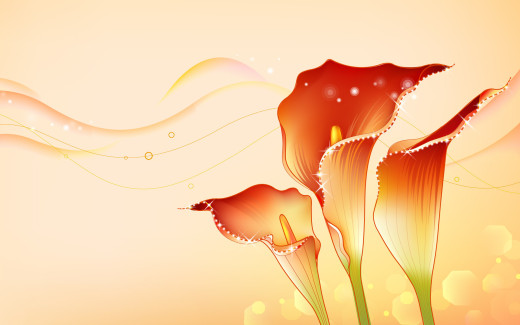464165 (a): :1920x1200